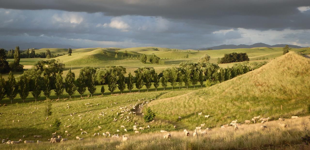Tree House Lodge Bed & Breakfast Cheviot Exteriér fotografie