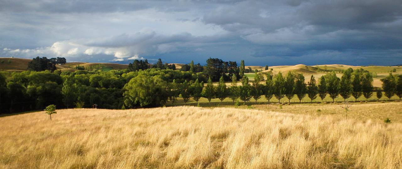 Tree House Lodge Bed & Breakfast Cheviot Exteriér fotografie