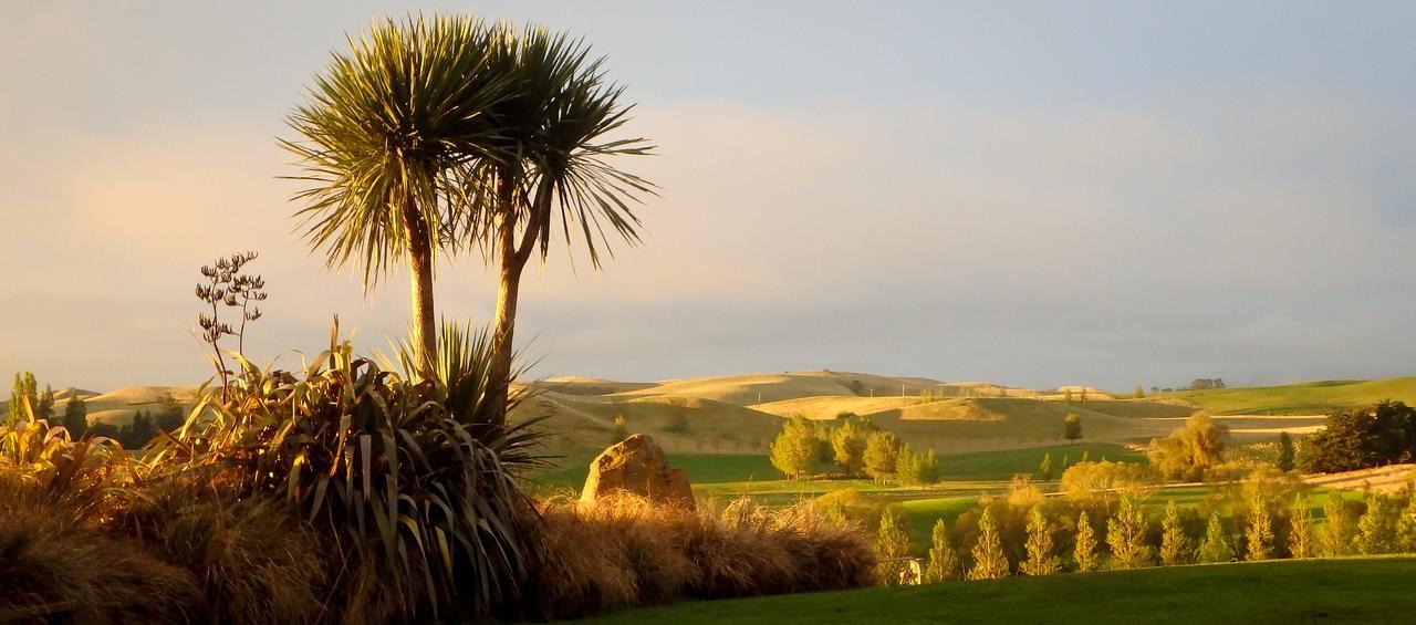 Tree House Lodge Bed & Breakfast Cheviot Exteriér fotografie
