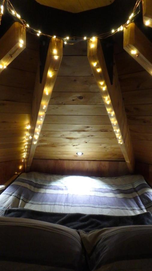 Tree House Lodge Bed & Breakfast Cheviot Exteriér fotografie